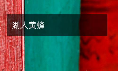 湖人黃蜂